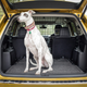 Illustration for article titled Volkswagen Atlas Weekend Edition Concept (Sponsored by JC Whitney)em/em